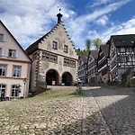 Апартаменты Schmuckstueck *