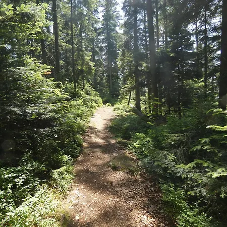 Apartmán Schmuckstueck